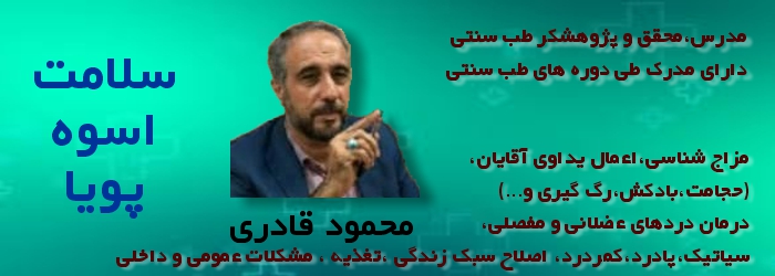 محمود قادری